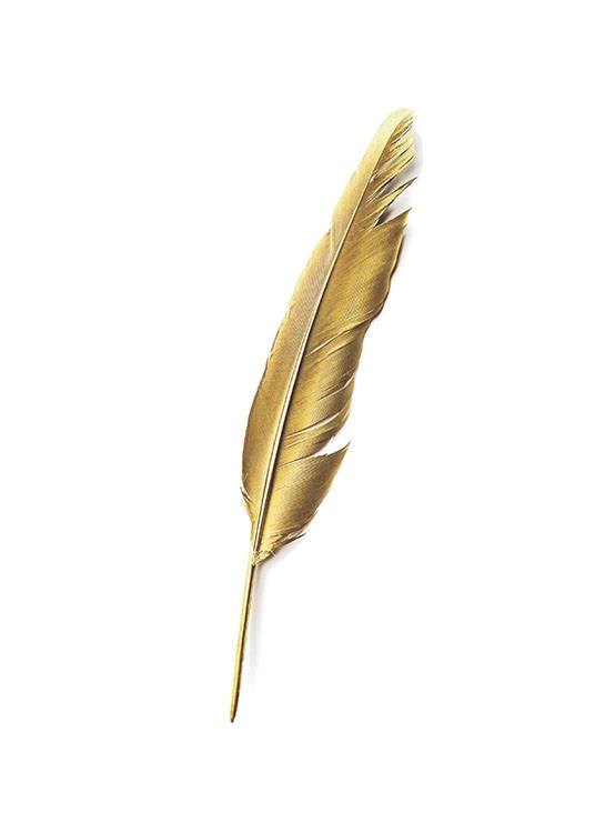 Gold Feather, Plakat / Tekstplakater hos Desenio AB (7605)