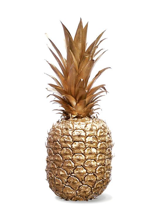 Gold Pineapple, Plakat