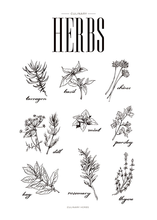 Herbs, Plakat / Svarthvitt hos Desenio AB (7848)