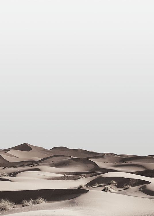 Desert, Plakat