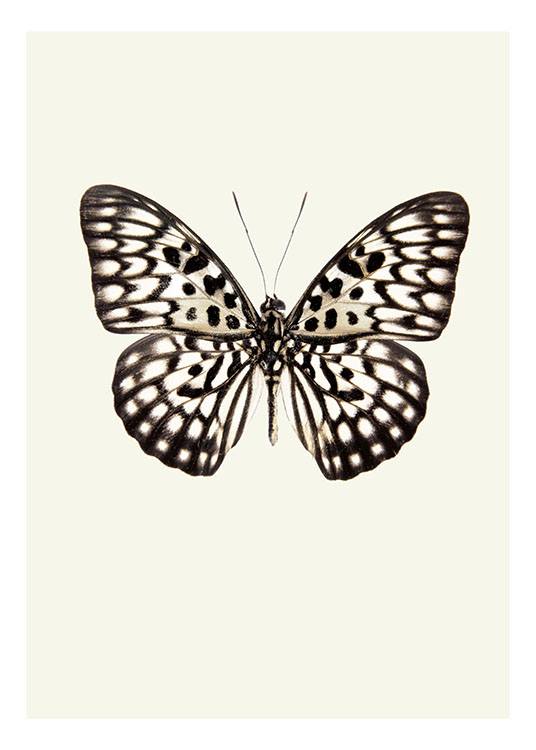 Vintage Butterfly, Plakater  