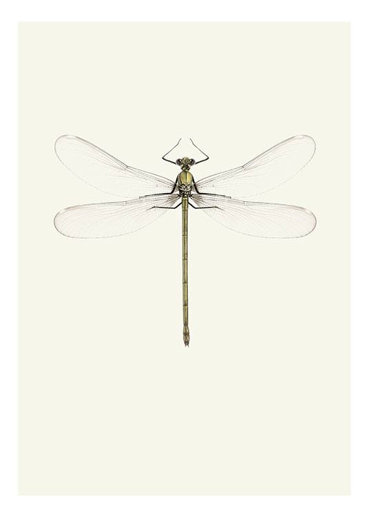 Vintage Dragonfly, Plakat 