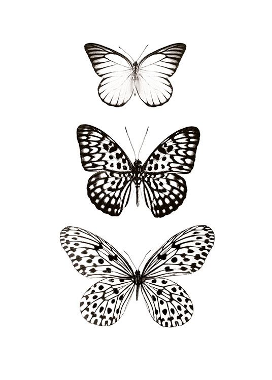 Three Butterflies, Plakat