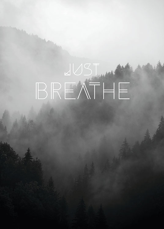 Just Breathe, Plakat / Naturmotiv hos Desenio AB (8150)