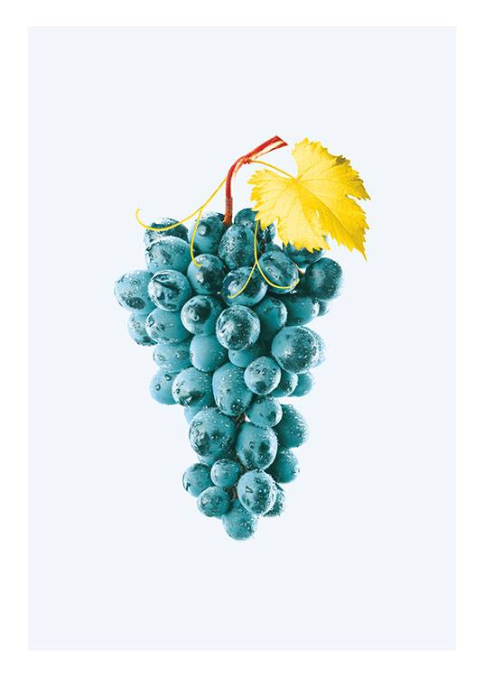 Blue Grapes, Plakat
