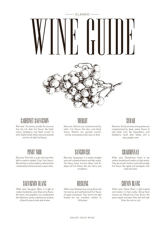 Wine Guide, Plakat / Kjøkkenplakater hos Desenio AB (8228)