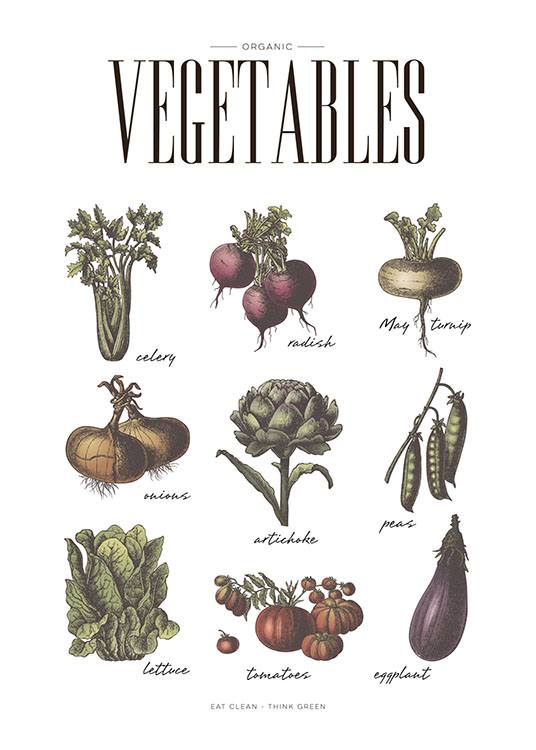 Vegetables, Plakat