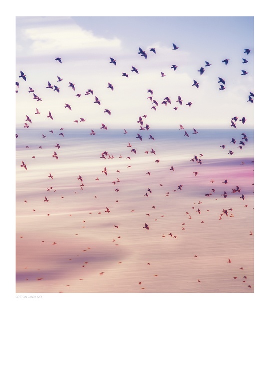 Cotton Candy Sky, Plakat / Naturmotiv hos Desenio AB (8397)