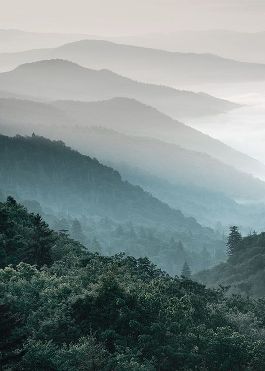  – Fotografi av et landskap med skog på fjell, med tåke i bakgrunnen