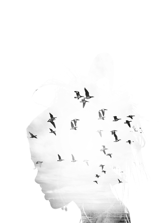 – Svarthvit kunstplakat med fugler og havet vist i konturene av et kvinneansikt