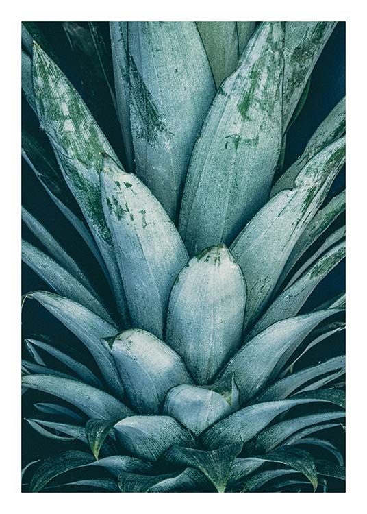 Pineapple Crown Plakat
