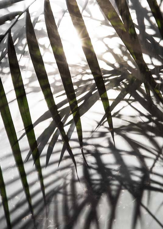 Palm Leaves Sunlight Plakat / Fotokunst hos Desenio AB (8851)