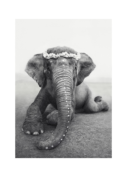 Love Warriors Sweetest Adele Plakat