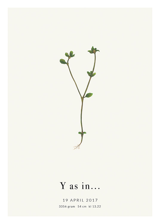  – Bokstaven Y formet av en plante, med tekst under