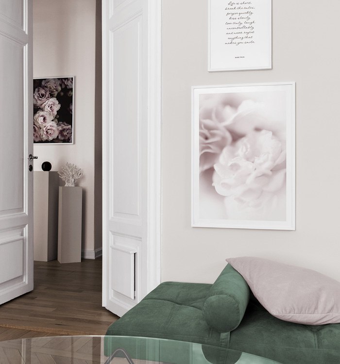 Botaniske plakater og tekstbilder til stue