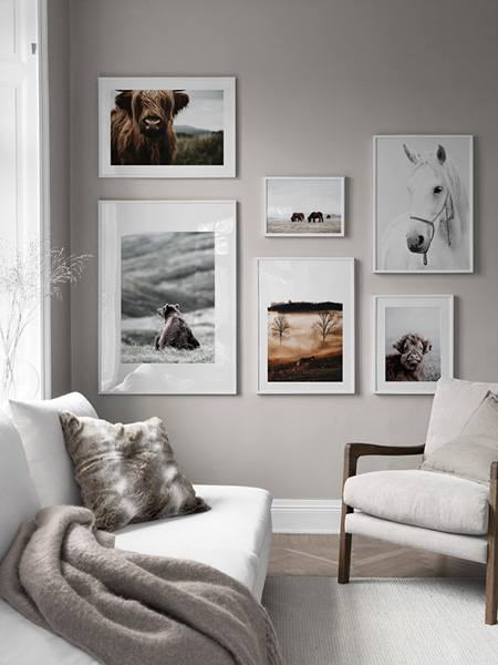 Posters med insekter & dyr fra Desenio